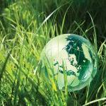 Green globe in green grass