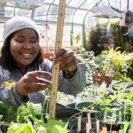 Jdody Misidor '21 works in the Randolph College greenhouse